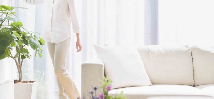 fresh and clean apartment