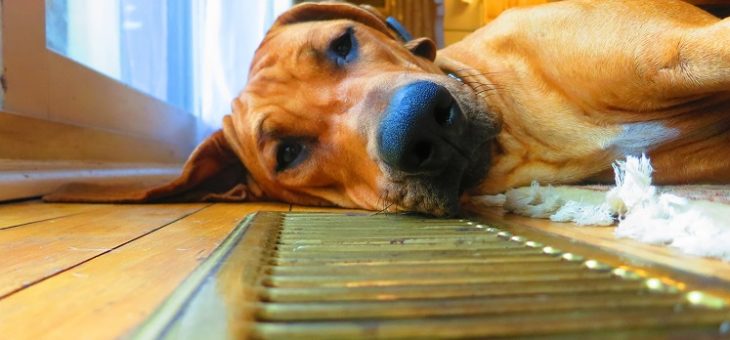 Aurora Air Duct Cleaners services