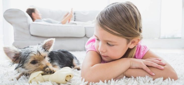 Toronto HVAC cleaning service | Best Duct Cleaning Specialists in GTA