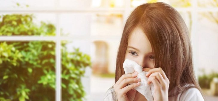 Vaughan air duct cleaning company