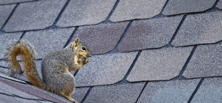 duct cleaning service in Gormley | Best Air Duct Cleaning Service in GTA