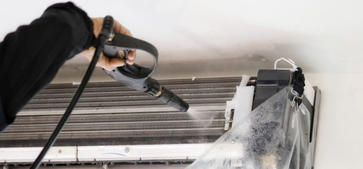 How do you get bugs out of air ducts