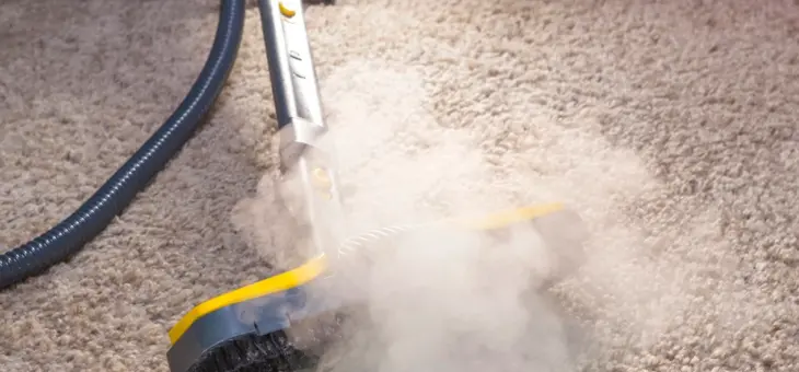 carpet steam cleaner