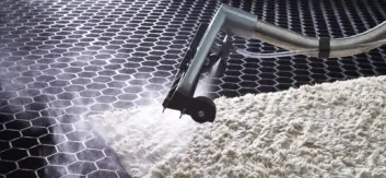 carpet steam cleaning services