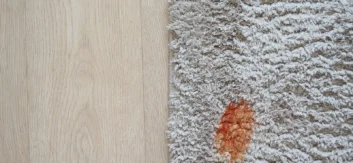 residential carpet cleaning