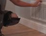 Markham Duct Cleaning service